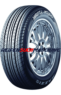 Maxxis MS 300
