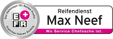 max neef logo