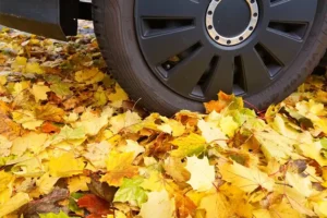 ganzjahresreifen 4566657